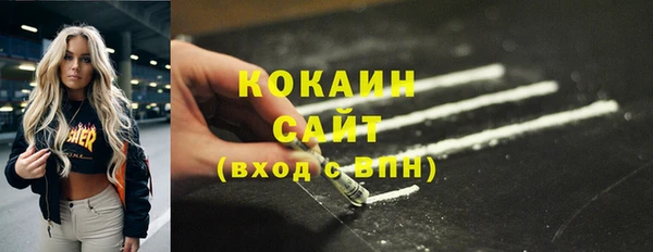 гидра Краснослободск
