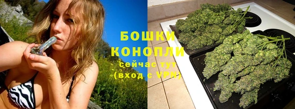 гидра Краснослободск