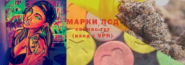 гидра Краснослободск