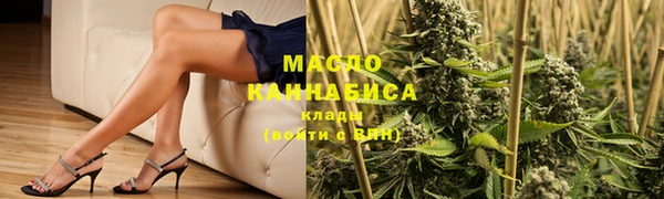 гидра Краснослободск